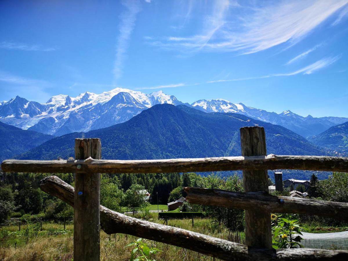 圣热尔韦莱班Duo Des Alpages Vue Exceptionnelle Sur Le Mont Blc公寓 外观 照片