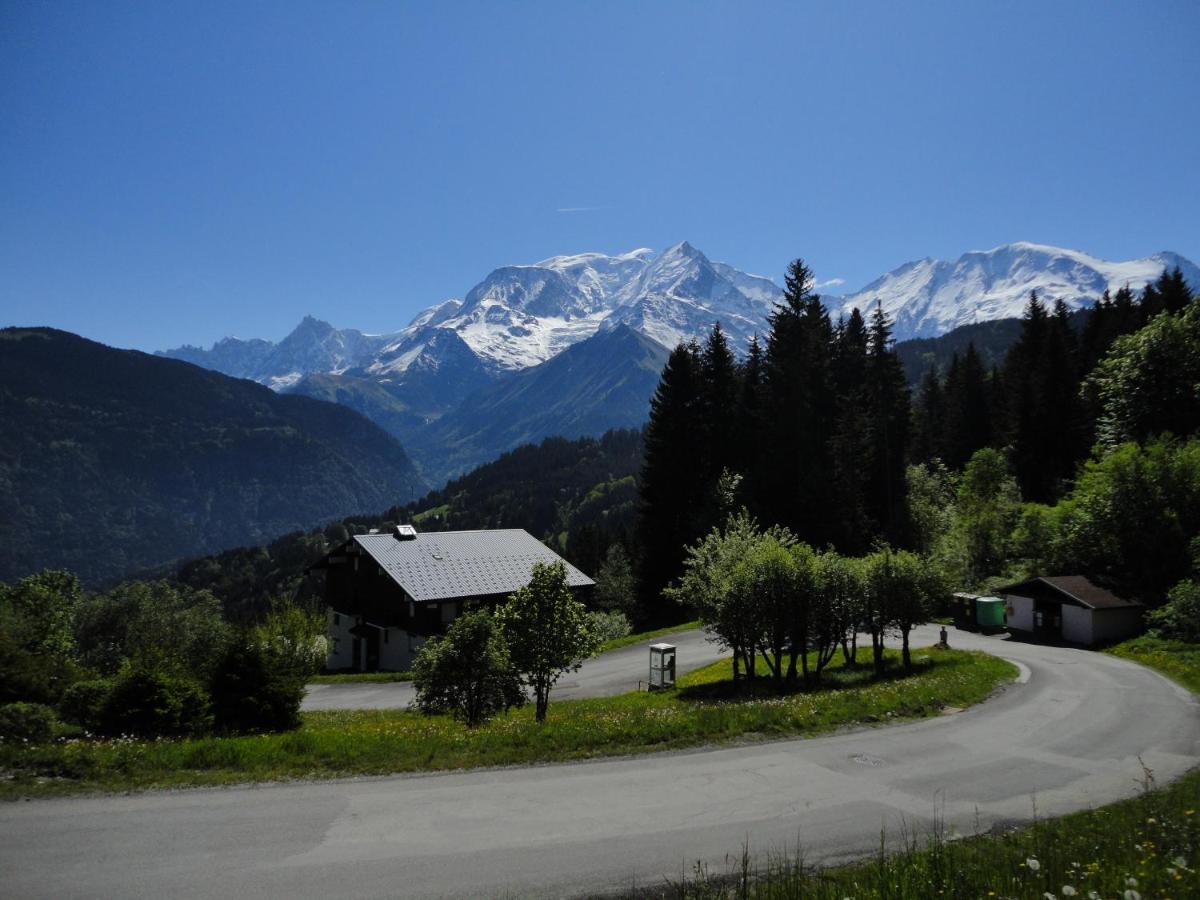 圣热尔韦莱班Duo Des Alpages Vue Exceptionnelle Sur Le Mont Blc公寓 外观 照片