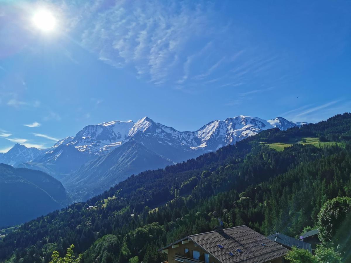 圣热尔韦莱班Duo Des Alpages Vue Exceptionnelle Sur Le Mont Blc公寓 外观 照片