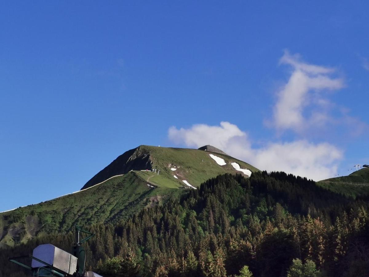 圣热尔韦莱班Duo Des Alpages Vue Exceptionnelle Sur Le Mont Blc公寓 外观 照片