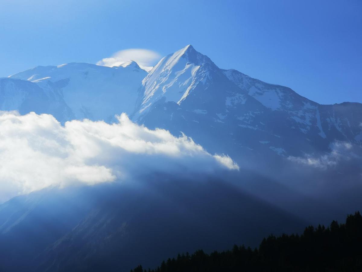 圣热尔韦莱班Duo Des Alpages Vue Exceptionnelle Sur Le Mont Blc公寓 外观 照片